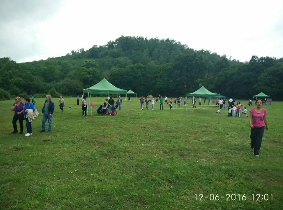 13394031_291731177839502_3295957043062122318_n